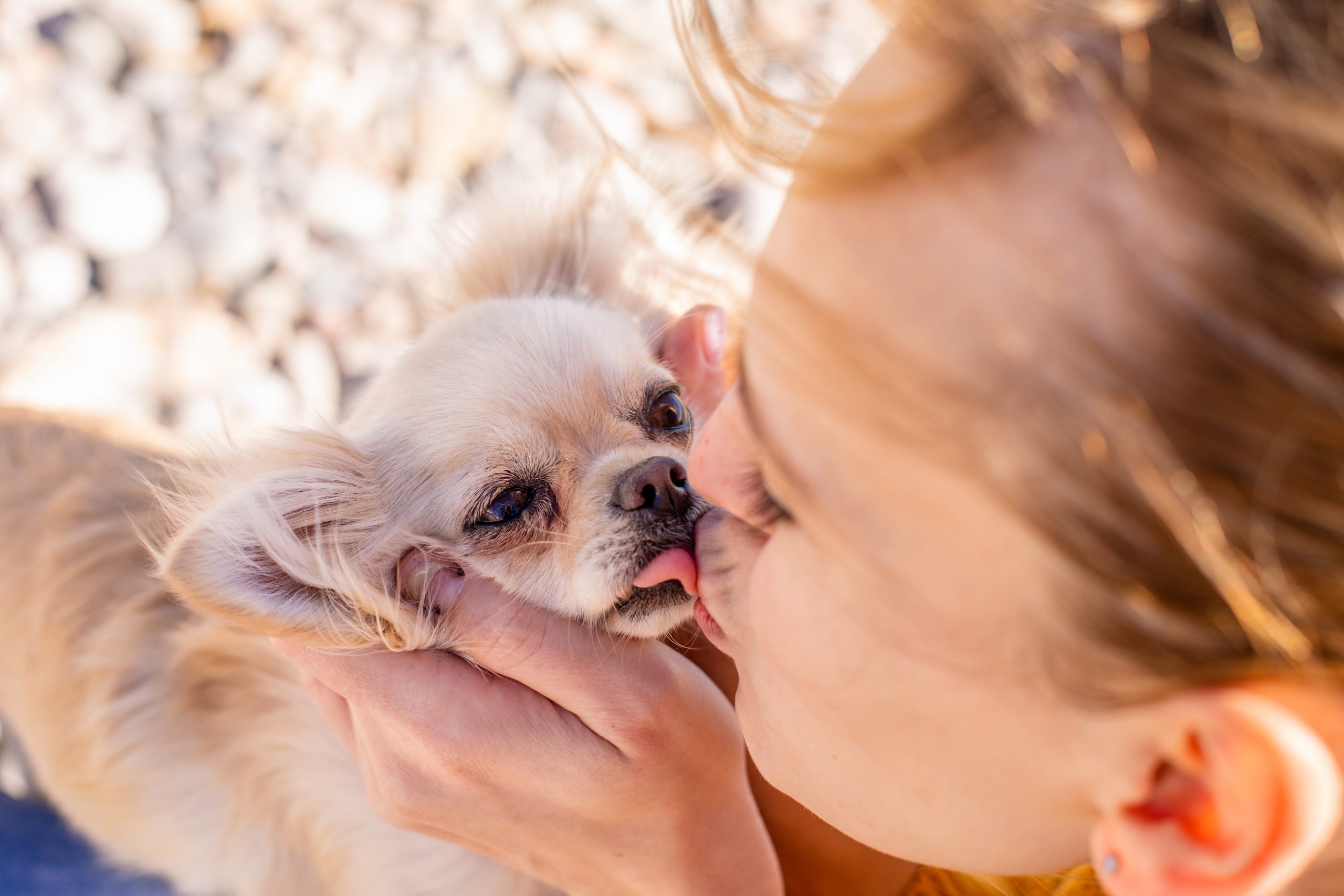 Close-up of a small fluffy dog being gently kissed on the nose by a person, conveying affection.